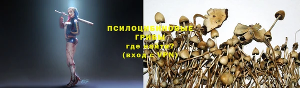 прущие крисы Алзамай