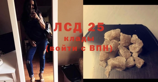 ГАЛЛЮЦИНОГЕННЫЕ ГРИБЫ Пересвет