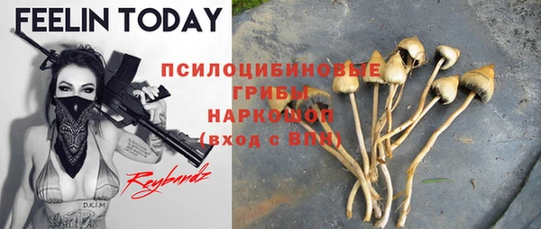 индика Арсеньев