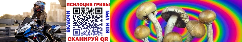 купить наркотик  Павлово  Галлюциногенные грибы Magic Shrooms 
